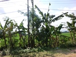 31223CIMG1085.JPG