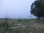 40226CIMG9236.JPG