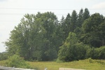 2024-10-10_17-03-57_DA18A560-106D-49BF-8337-444DB4DF359F.jpeg