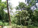 17528100_2789.JPG