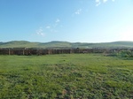 38121P1080046.JPG