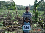 128670244a-irrigated-supplemental-groundwater-banana.gif