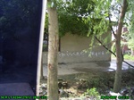4562007-08-05_09-13-31_tag.jpg