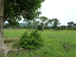 18438P1000274.JPG