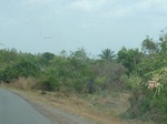 51528P1000691.JPG