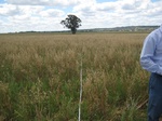 43132NSW001_L4.jpg