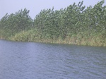 648R0015156.jpg