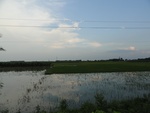 24684DSC00908.JPG