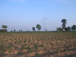 28089RIMG0144.JPG