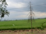 31603CIMG1469.JPG