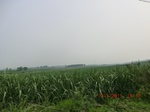 32776CIMG1908.JPG