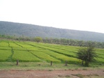 17368100_2054.JPG