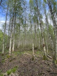 2025-05-21_10-09-18_IMG_7886.jpeg