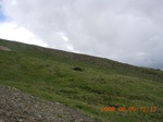 34699PEWA08PP2N.jpg