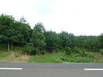20474P1020331.JPG