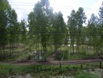26224RIMG0191.JPG