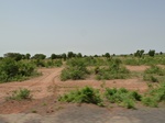 18984P1000828.JPG