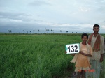 124870132b-irrigated-supplemental-groundwater-maize-dominant-sugarcane-horsegram-sorghum.gif