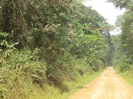 48337CIMG4674.JPG