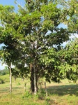 31971IMG_5619.jpg