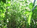 13975IMG_4272.JPG