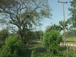 5862100_1533.JPG