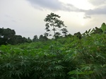45794CIMG2879.JPG