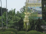14876IMG_5270.JPG