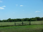 29059CIMG0758.JPG