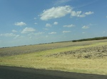 35233DSC02438.JPG