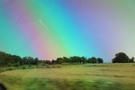 2024-06-17_21-20-39_7A4A0C7F-ED81-431C-8BF7-E6BE9944C9B2.jpeg