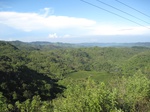 13633IMG_3894.JPG