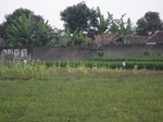 15008IMG_3818.JPG
