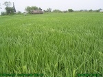 391502007.9.5.st1.JPG