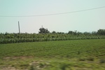 2024-08-05_14-07-05_E702F861-20B5-4414-ABB2-63D660550C3D.jpeg