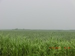 33071CIMG2306.JPG