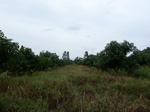 18543P1000379.JPG