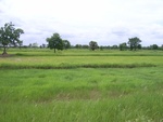 33375RIMG0115.JPG