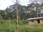 50001CIMG6338.JPG