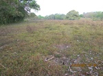 30035IMG_5357.JPG
