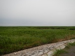 54343DSCN1617.JPG