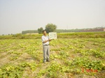 6548gt053-cropland-1.jpg