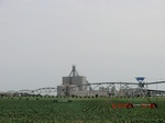 29648CIMG0925.JPG