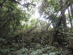 46756DSC02093.JPG