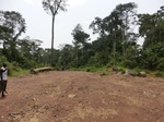 47119CIMG3456.JPG