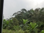 49879CIMG6216.JPG