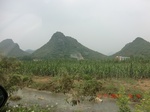 32631CIMG1750.JPG