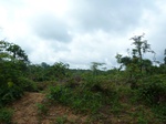 20689P1020546.JPG