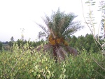 17563100_2829.JPG