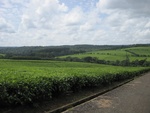 32201Picture 940.jpg